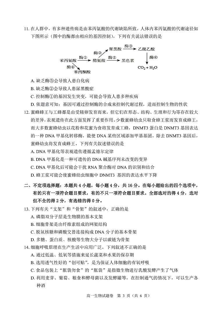 高一生物试卷第3页