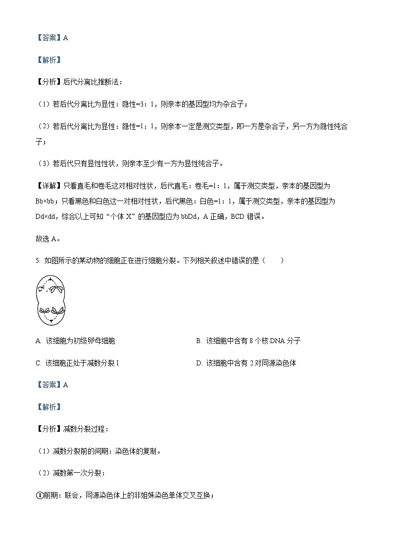2022-2023学年安徽省芜湖市第一中学高一下学期期末生物试题  Word版含解析第3页