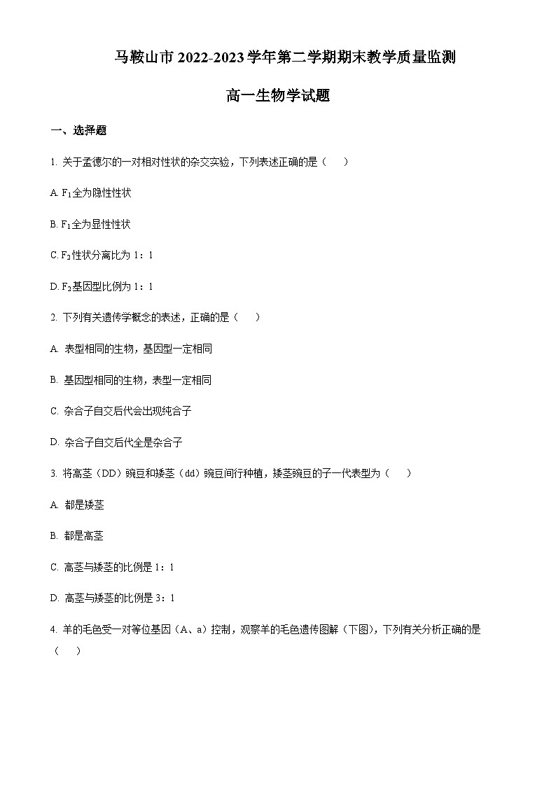 2022-2023学年安徽省马鞍山市二中高一下学期期末考试生物试题含答案01