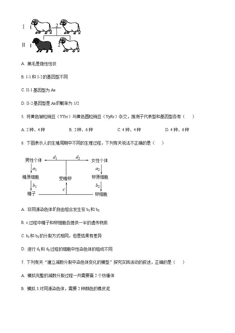 2022-2023学年安徽省马鞍山市二中高一下学期期末考试生物试题含答案02