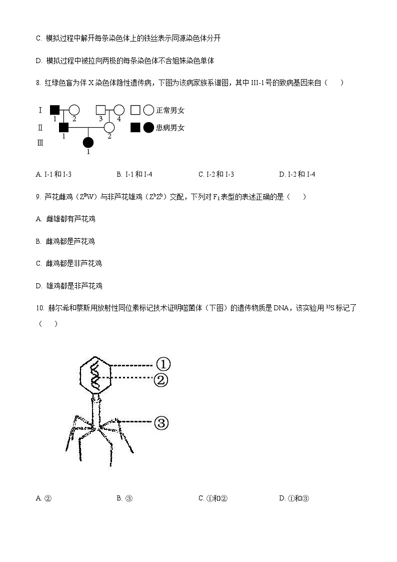 2022-2023学年安徽省马鞍山市二中高一下学期期末考试生物试题含答案03