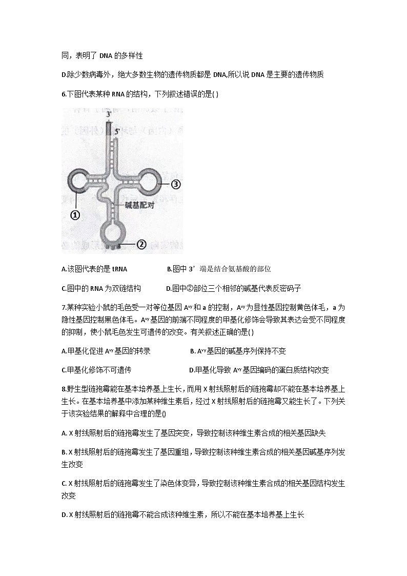 2022-2023学年湖南省长沙市雅礼中学高一下学期期末考试生物试题含答案03