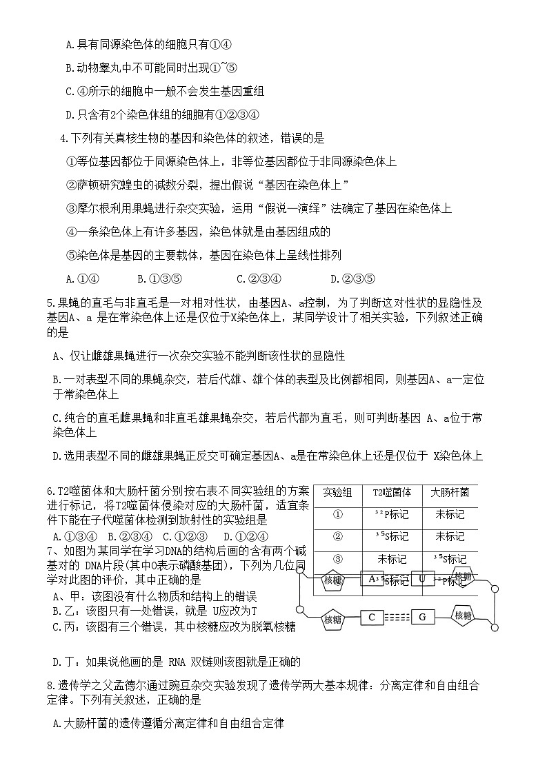2022-2023学年湖南省益阳市桃江县高一下学期7月期末生物试题含答案02
