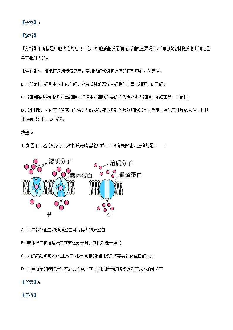 2022-2023学年湖南省株洲市高一下学期期末生物试题含答案03
