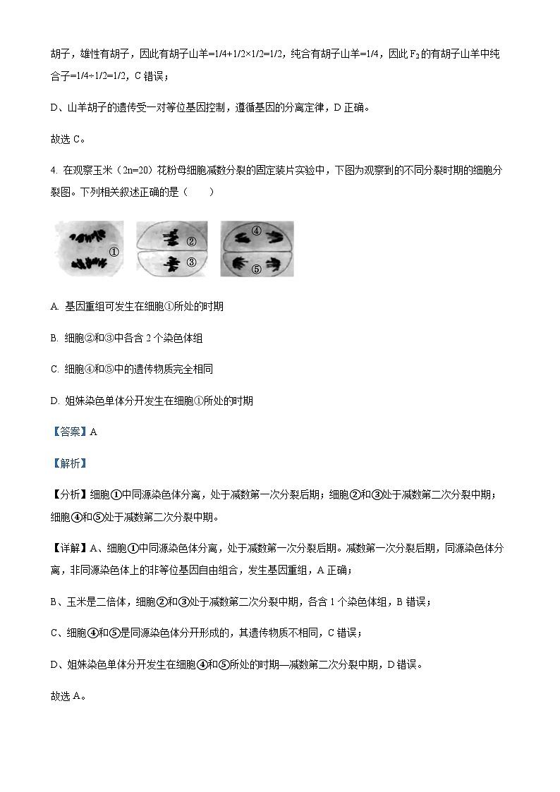 2022-2023学年湖北省新高考联考协作体高一下学期期末生物试题含答案03