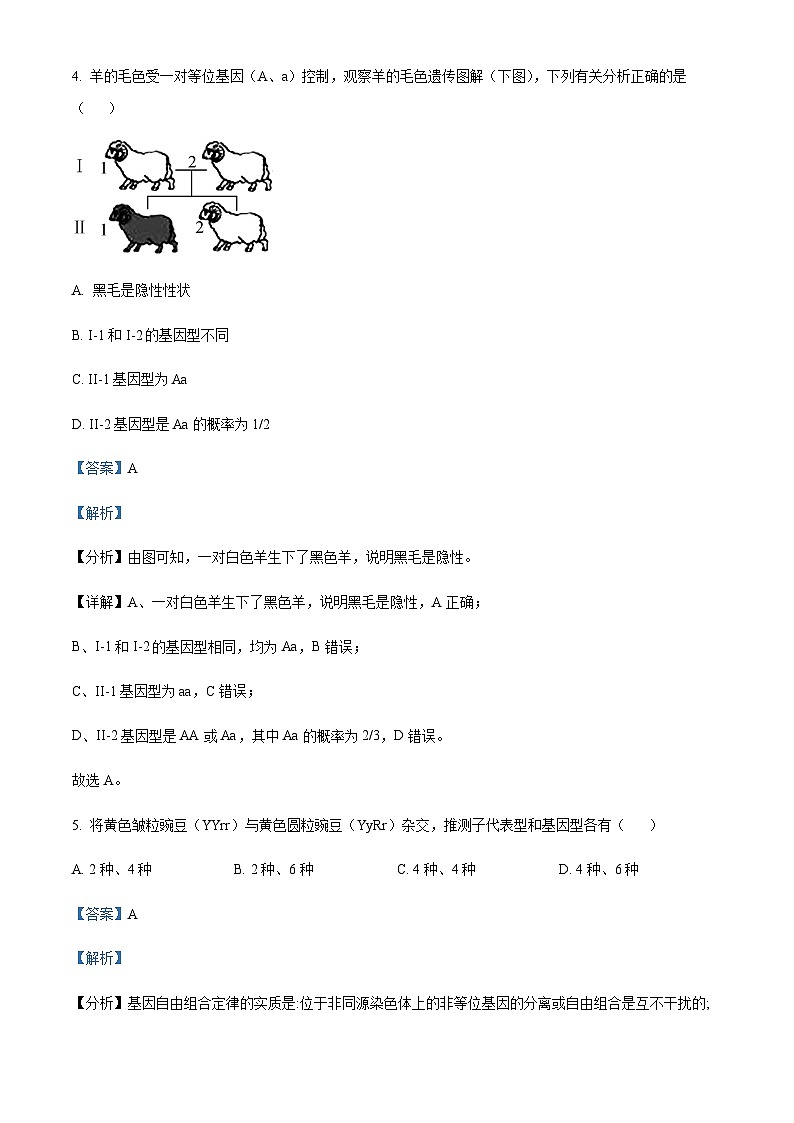 2022-2023学年安徽省马鞍山市高一下学期期末考试生物试题含答案03