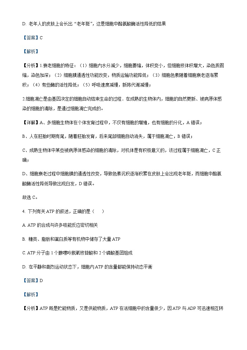 2022-2023学年四川省泸州市泸县第四中学高一下学期期末考试生物试题含答案03