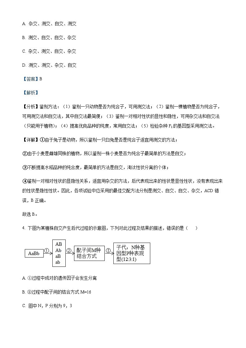 2022-2023学年四川省成都市实验外国语学校高一下学期期末考试生物试题含答案03