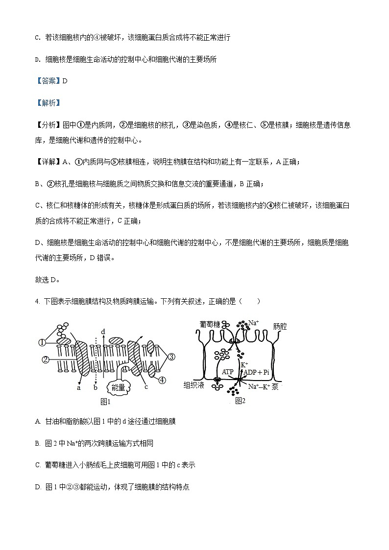 2021-2022学年安徽省阜阳市高一下学期期末生物试题含答案03