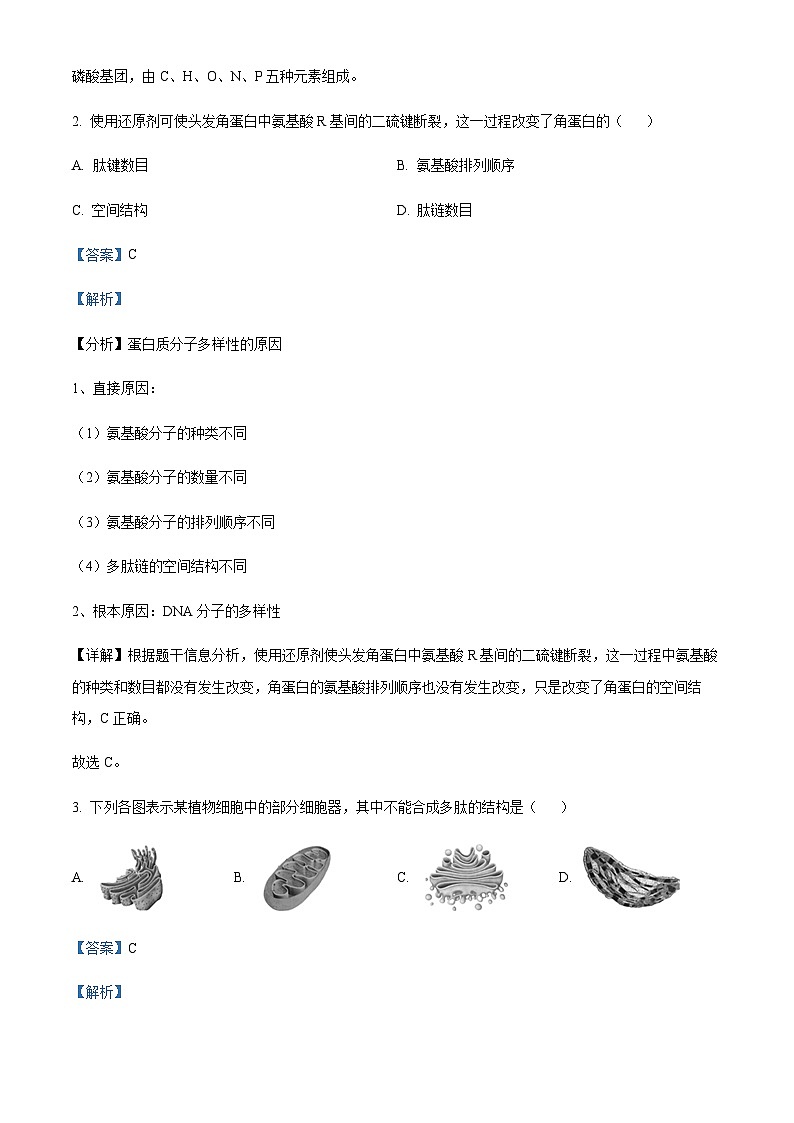 2022-2023学年浙江省绍兴区上虞区高一下学期（6月）学考适应性考试生物试题含答案02