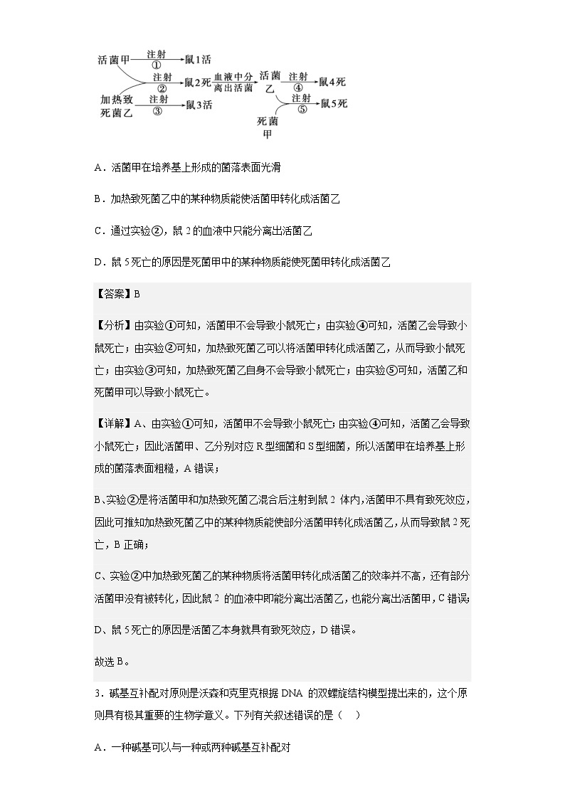 2022-2023学年河南省洛阳强基联盟高一5月联考生物试题含答案02