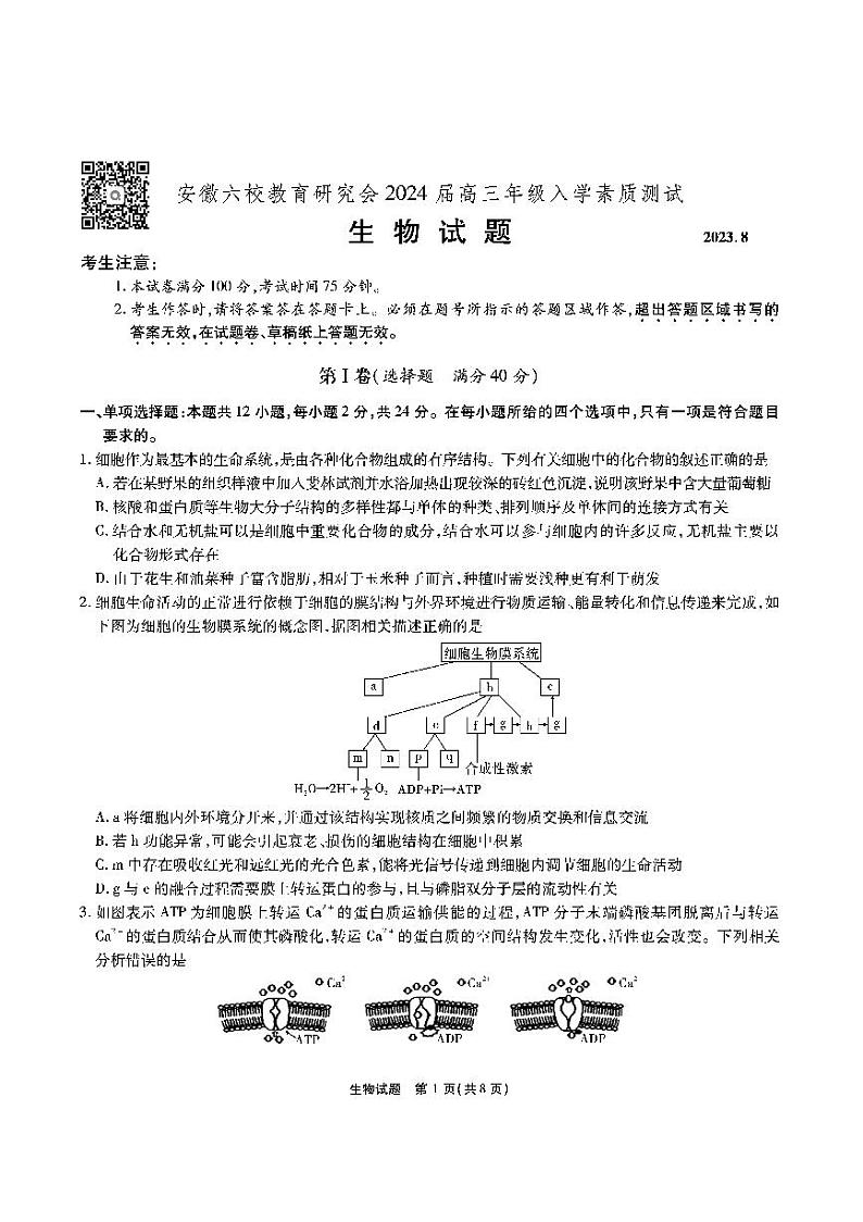 安徽六校高三联考-生物试题第1页