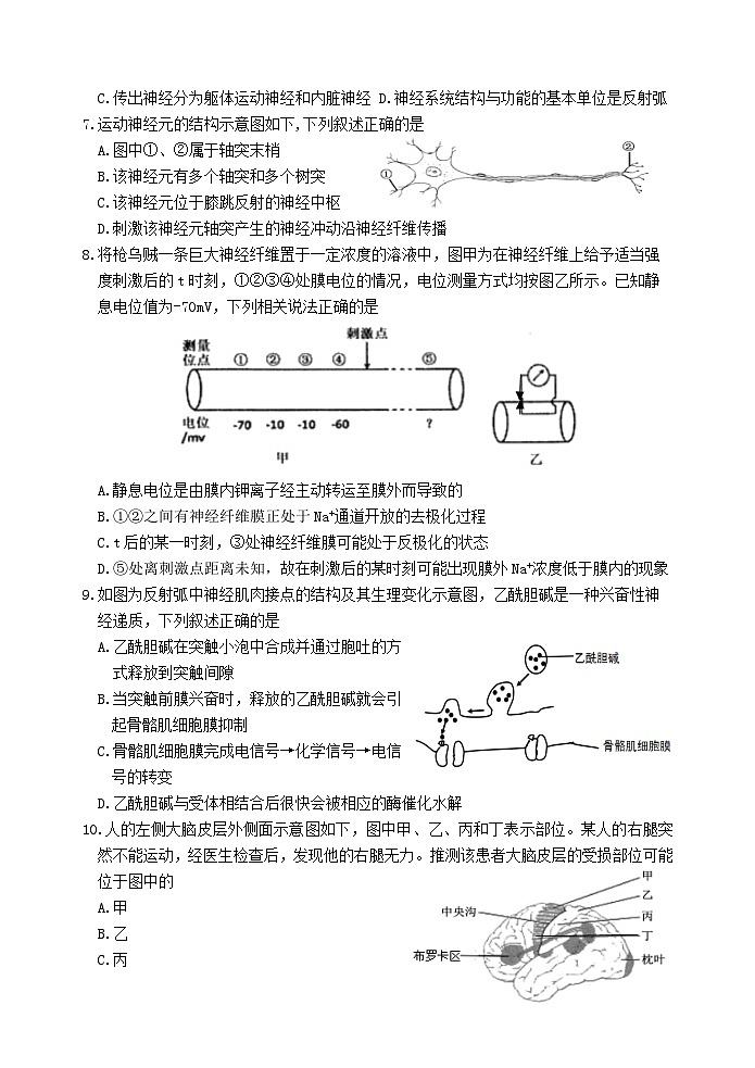 浙江省嘉兴市八校联盟2022-2023学年高二生物上学期期中联考试题（Word版附答案）02