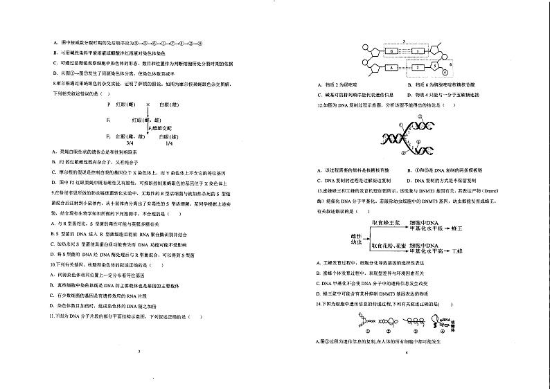 四川省自贡市第一中学校2023-2024学年高二上学期开学考试生物试题第2页