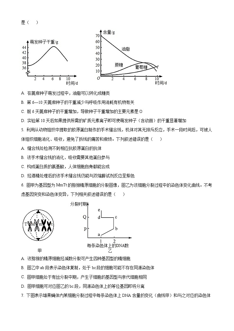 精品解析：河南省南阳市一中2023-2024学年高三上学期第一次月考生物试题（原卷版）第2页