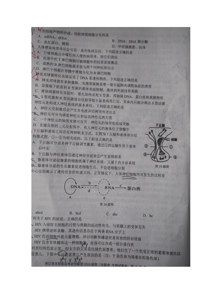 2018届浙江省新高考研究联盟高三第二次联考生物试题（PDF版）第3页