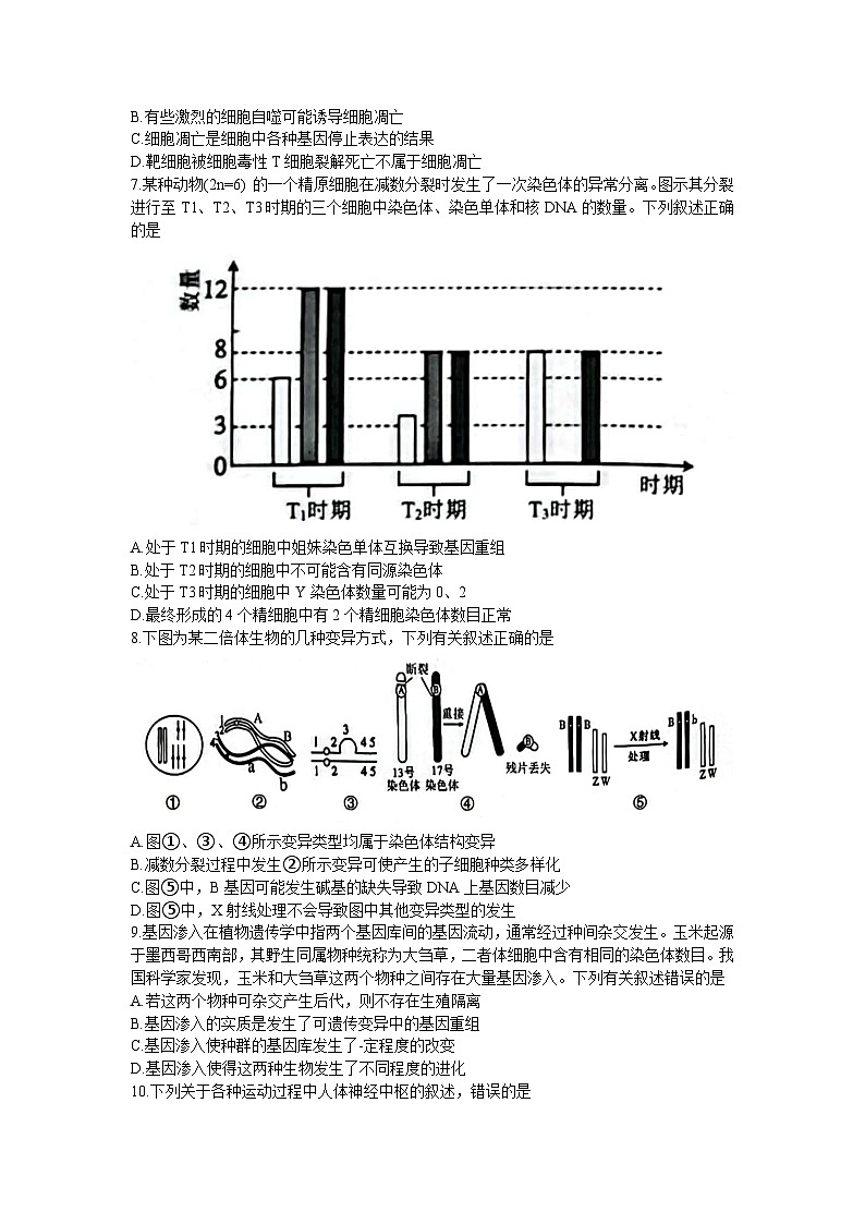 广西壮族自治区南宁市第三中学、柳州高级中学2023-2024学年高三上学期第一次适应性考试生物试题03