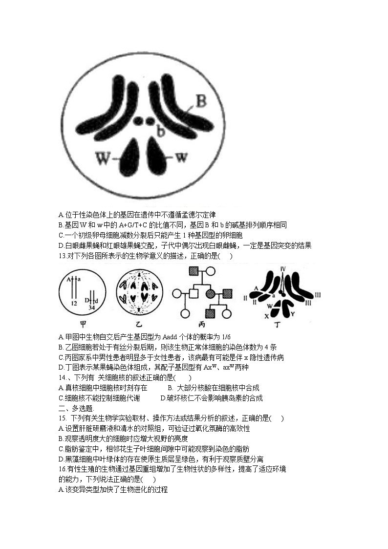 江苏省苏南名校2023-2024学年高三上学期9月抽查调研生物试题第3页