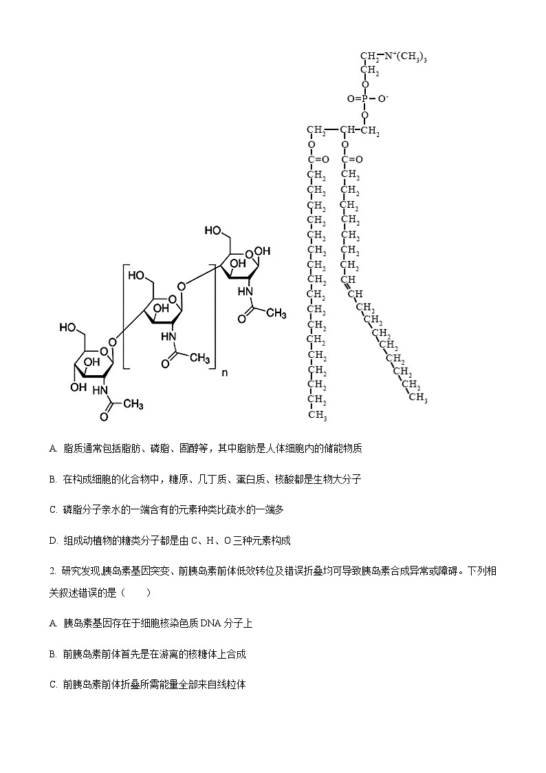 广西南宁市武鸣区武鸣高级中学2023-2024学年高三上学期开学考试（8月月考）   Word版试题第2页