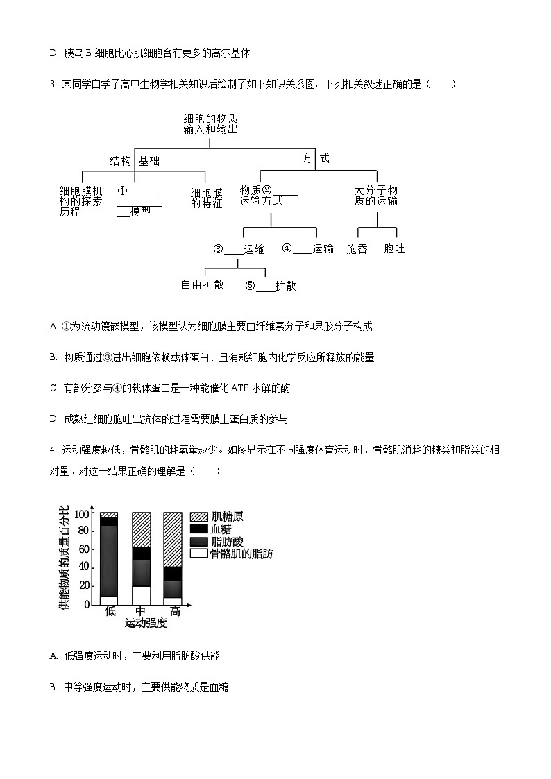 广西南宁市武鸣区武鸣高级中学2023-2024学年高三上学期开学考试（8月月考）   Word版试题第3页