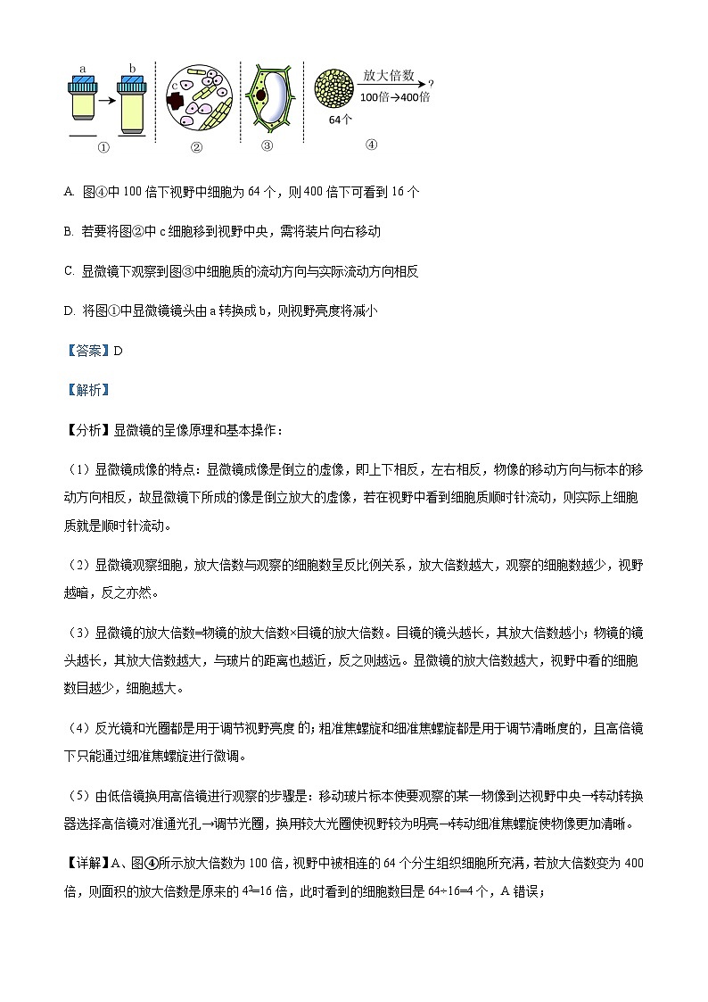 2023-2024学黑龙江省哈尔滨师范大学附中年高三上学期开学生物含答案 试卷02