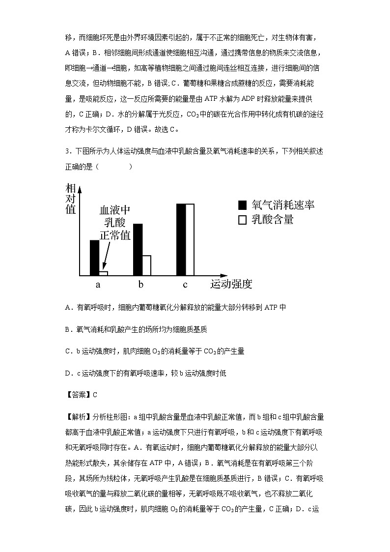 2022-2023学年江苏省徐州市三中高三上学期开学学情调研生物试题含答案第2页