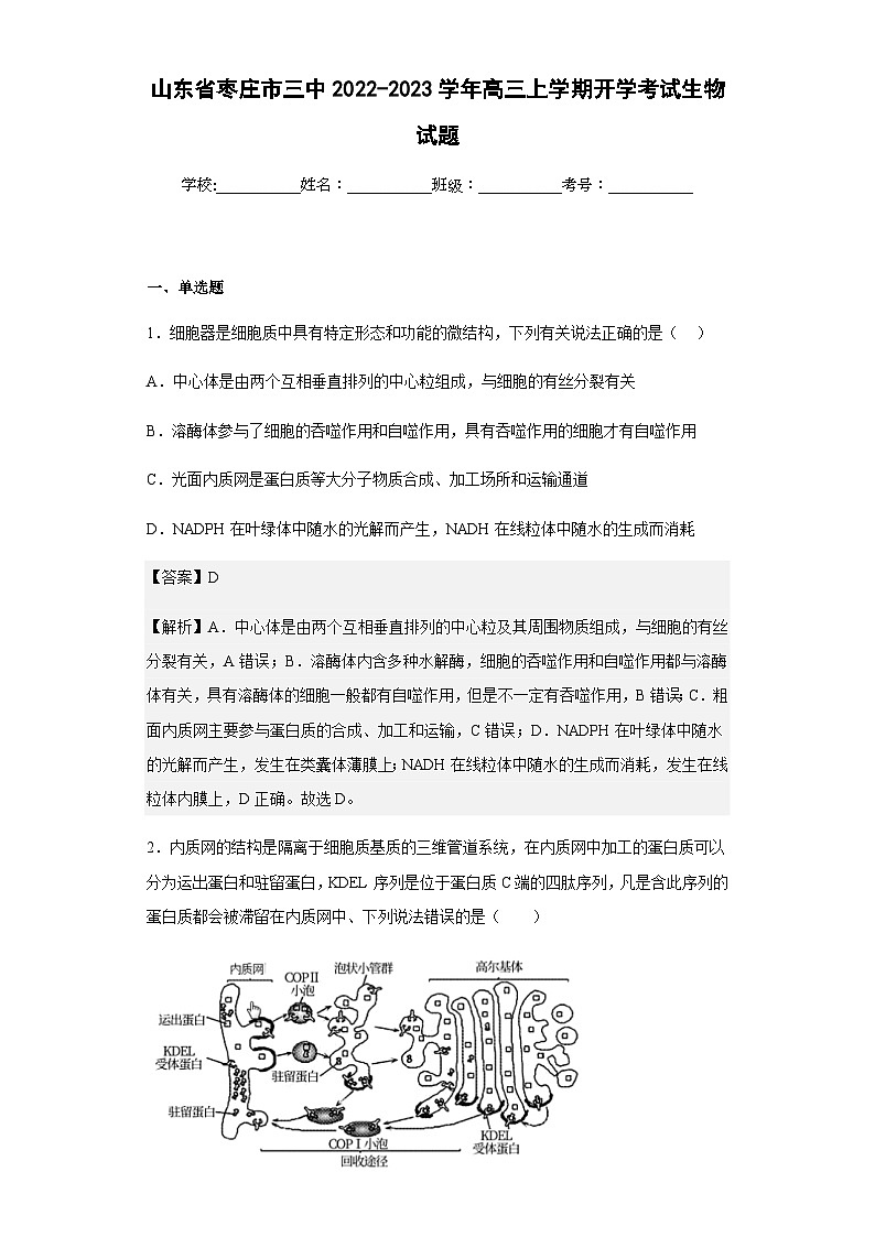 2022-2023学年山东省枣庄市三中高三上学期开学考试生物试题含答案01