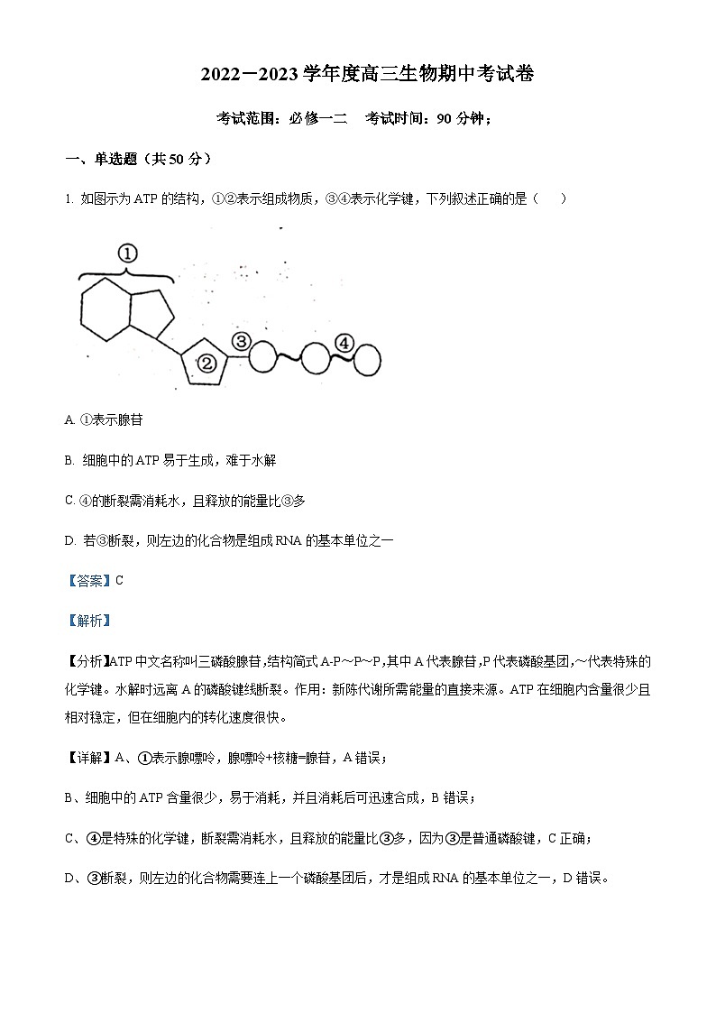 山西省阳泉市一中2022-2023学年高三11月期中生物试题  Word版含解析第1页