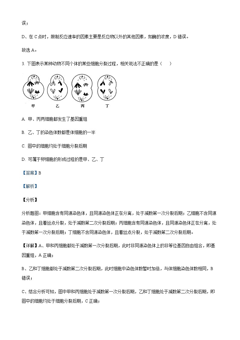 山西省阳泉市一中2022-2023学年高三11月期中生物试题  Word版含解析第3页