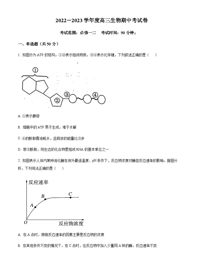 山西省阳泉市一中2022-2023学年高三11月期中生物试题  Word版无答案第1页