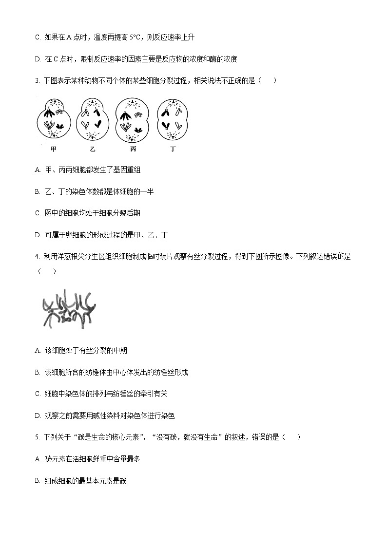 山西省阳泉市一中2022-2023学年高三11月期中生物试题  Word版无答案第2页