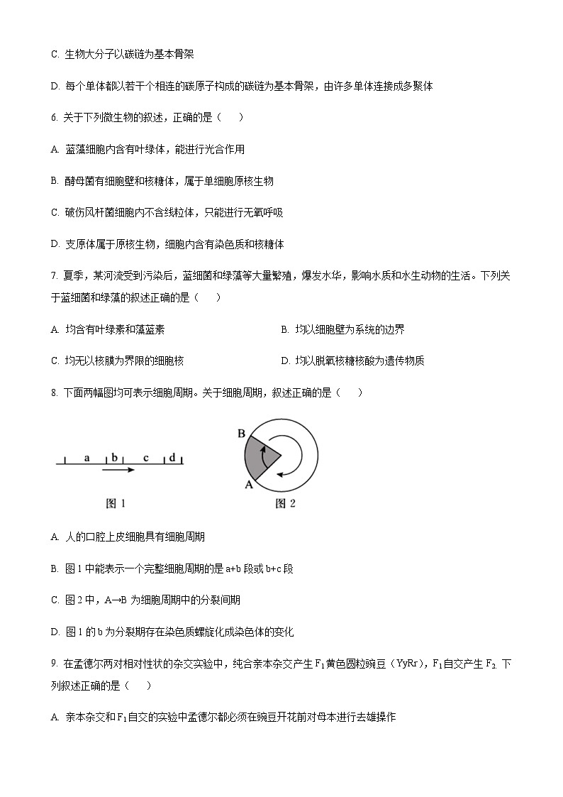 山西省阳泉市一中2022-2023学年高三11月期中生物试题  Word版无答案第3页