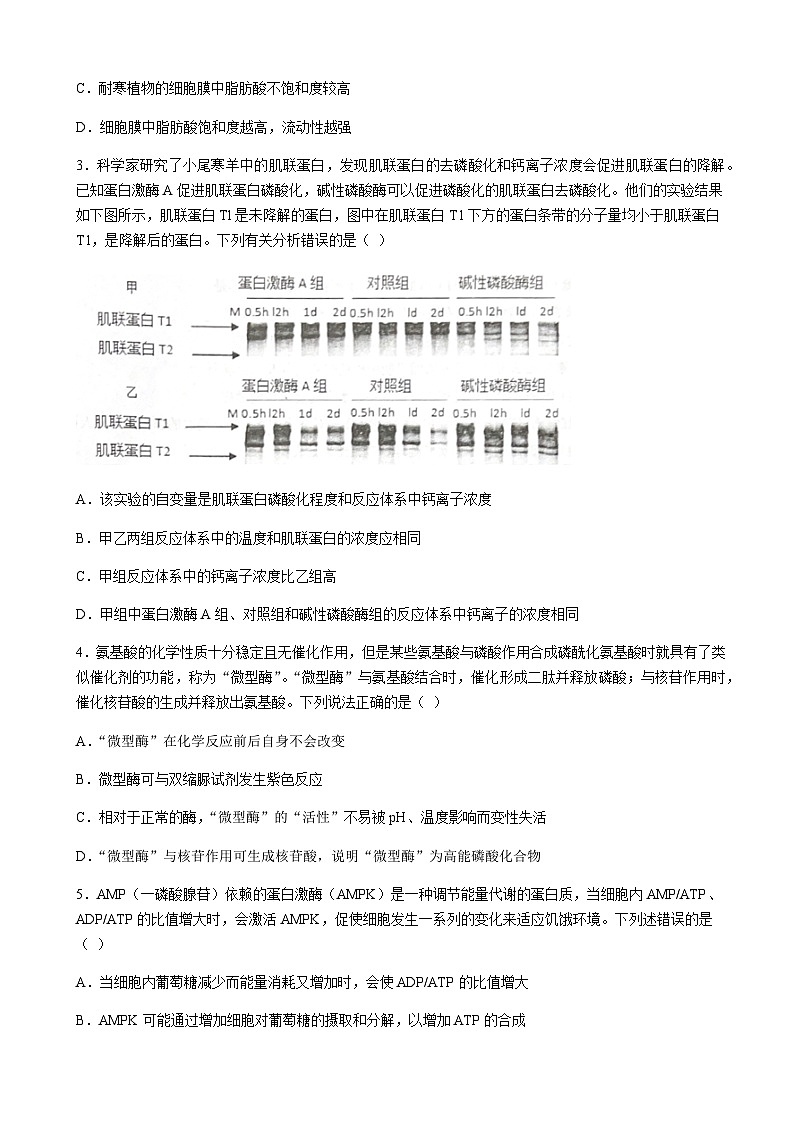 2022-2023学年山东省青岛市即墨区高三上学期期中考试生物试题含答案02