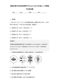 2022-2023学年福建省莆田市仙游县枫亭中学高三上学期期中生物试题含答案