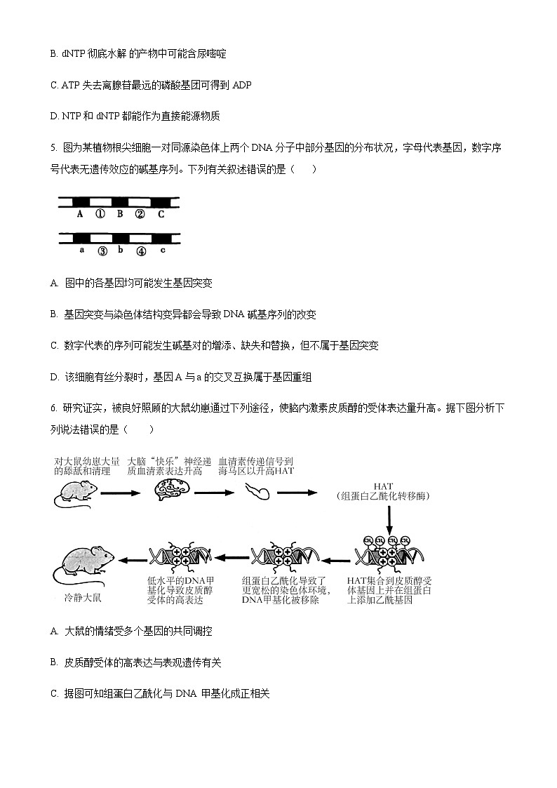 2022-2023学年浙江省杭州地区（含周边）重点中学高三上学期期末生物含答案第2页