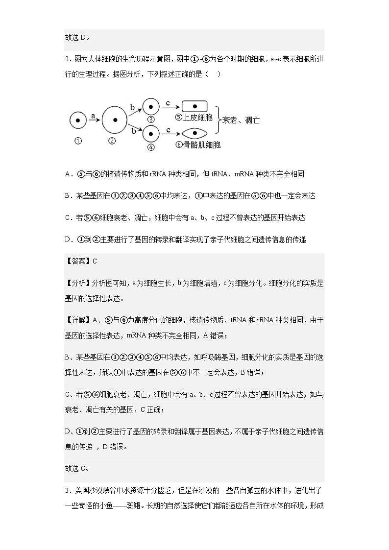 2022-2023学年江西省抚州市临川一中高三上学期期末理综生物试题含答案第2页