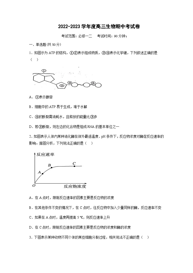 2022-2023学年山西省阳泉市第一中学校高三上学期11月期中生物试题含答案第1页