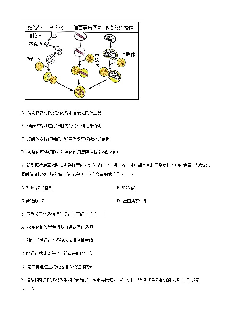 2022-2023学年浙江省金丽衢十二校高三上学期第一次联考生物试题含答案02