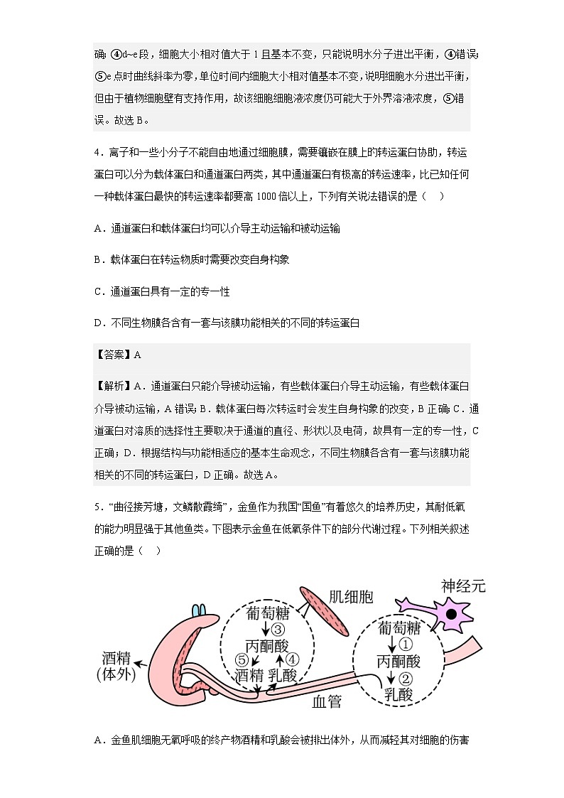 2022-2023学年安徽省江淮十校高三上学期第一次联考生物试题含答案03
