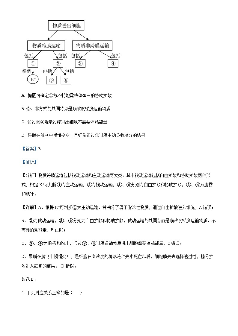 2022-2023学年四川省绵阳市三台中学高三上学期第一次教学质量测试理综生物试题含答案03