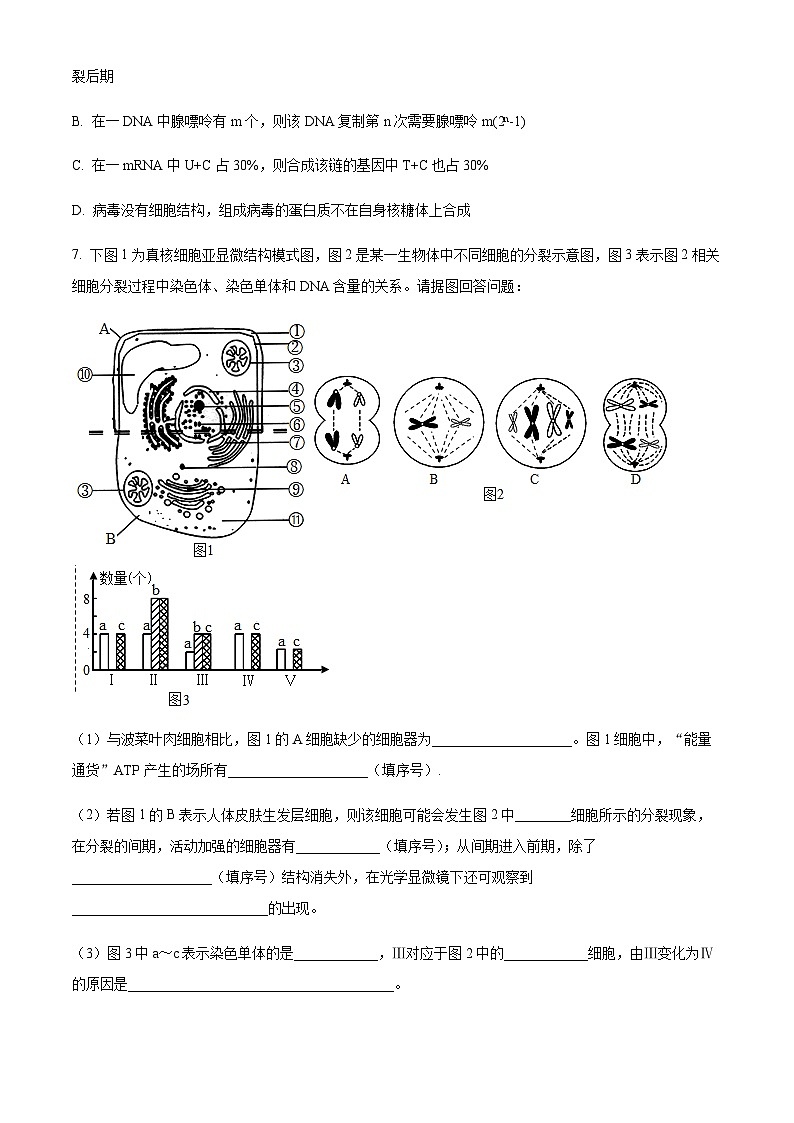 2022-2023学年四川省绵阳市三台中学高三上学期第三次教学质量测试理综生物试题含答案03
