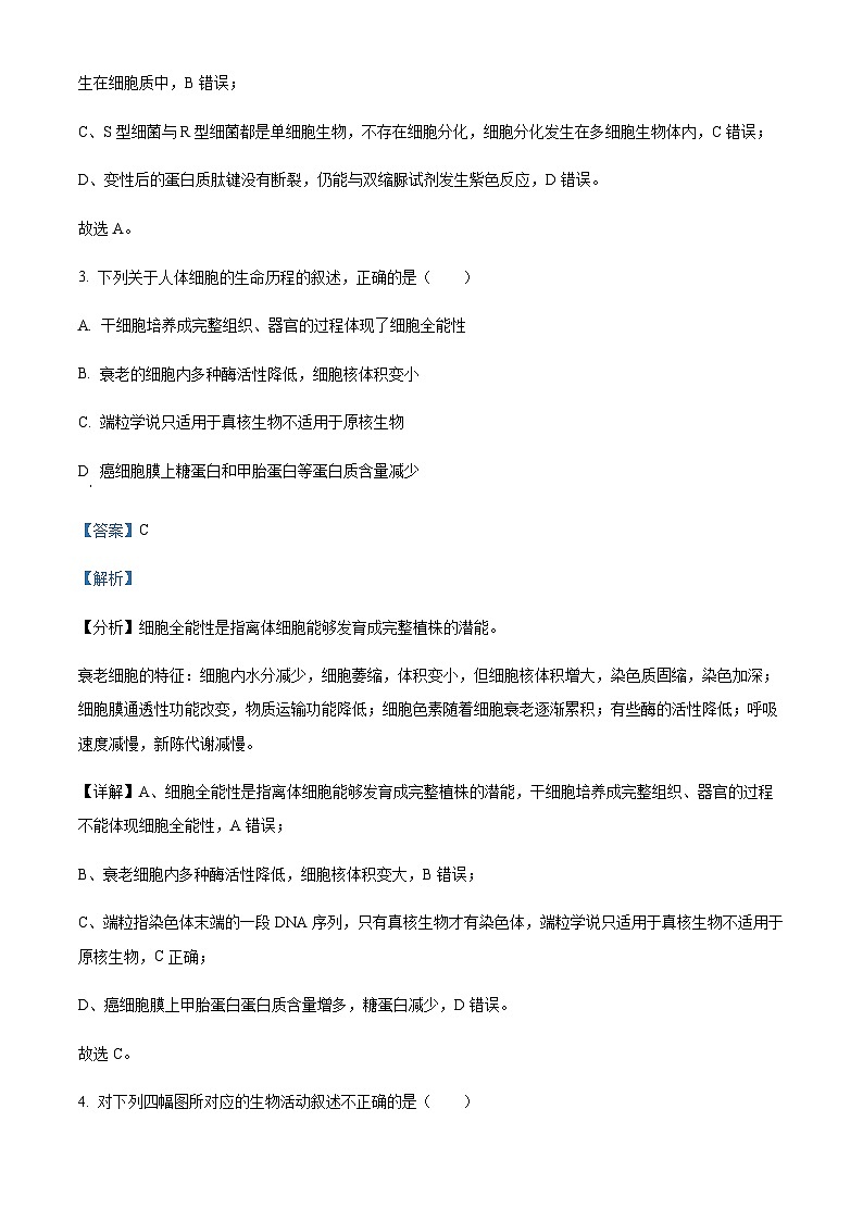 2022-2023学年四川省绵阳市三台中学高三上学期第三次教学质量测试理综生物试题含答案03