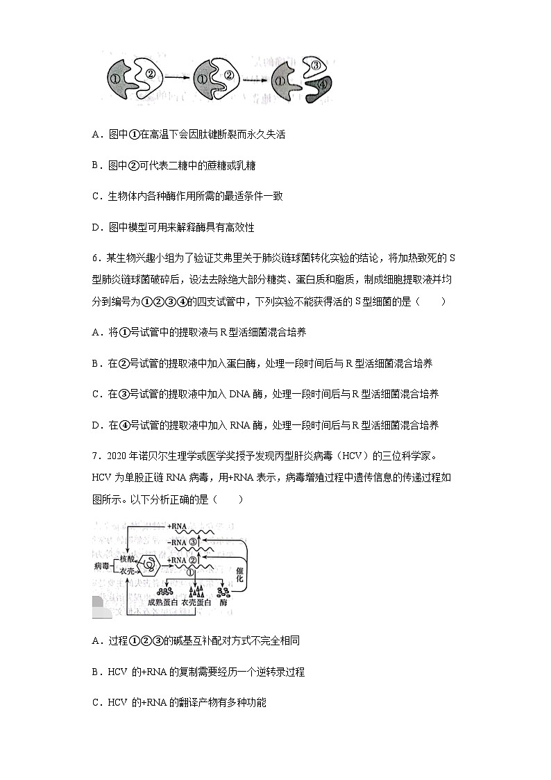 2022-2023学年山西省高三上学期第一次摸底考试生物试题含答案第2页