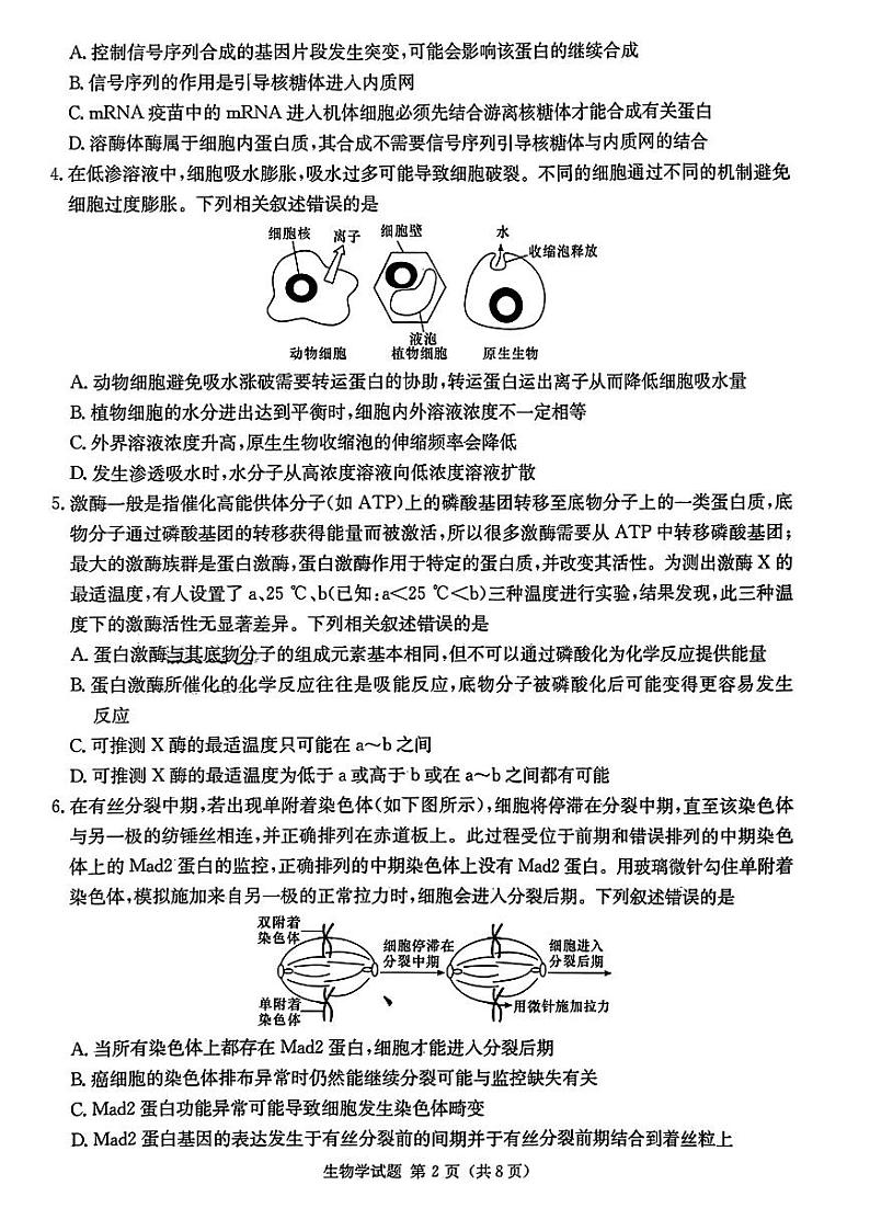 2024届湖南省大联考高三上学期第一次质量检测生物PDF版含答案02