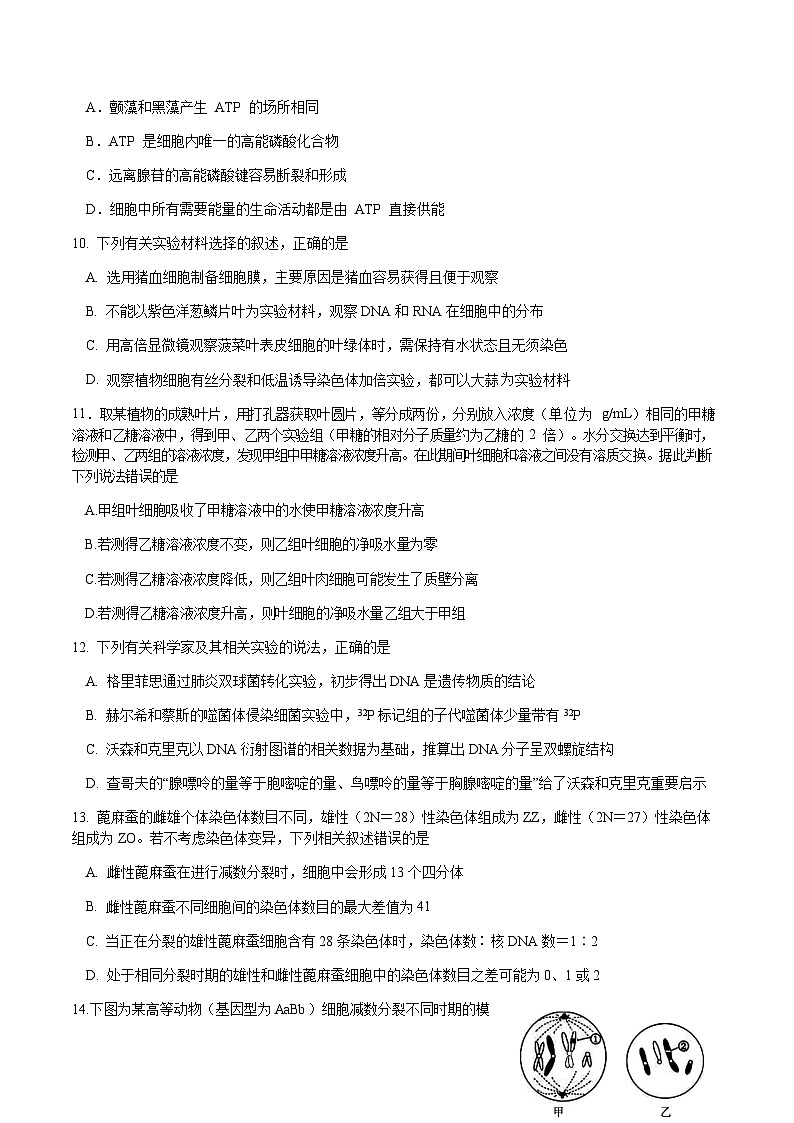 2022-2023学年四川省成都市石室中学高三上学期周练生物7含答案第3页