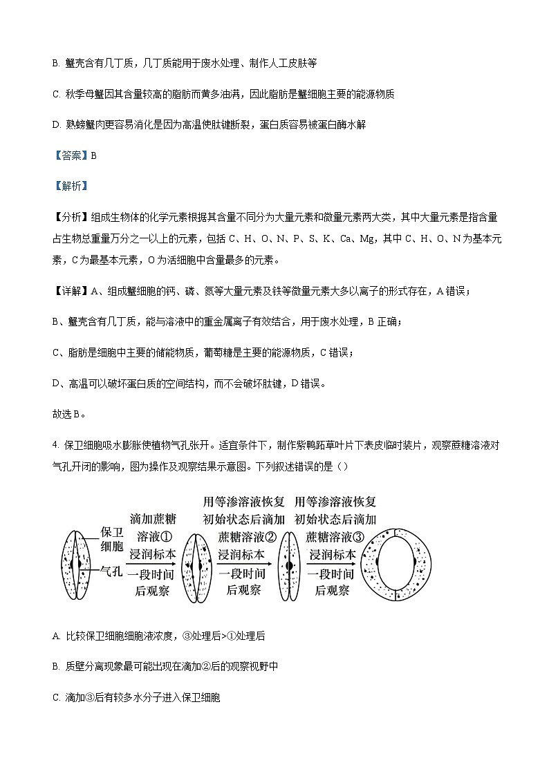 2023-2024学年辽宁省沈阳市一二〇中高三上学期第一次质量检测生物含答案03