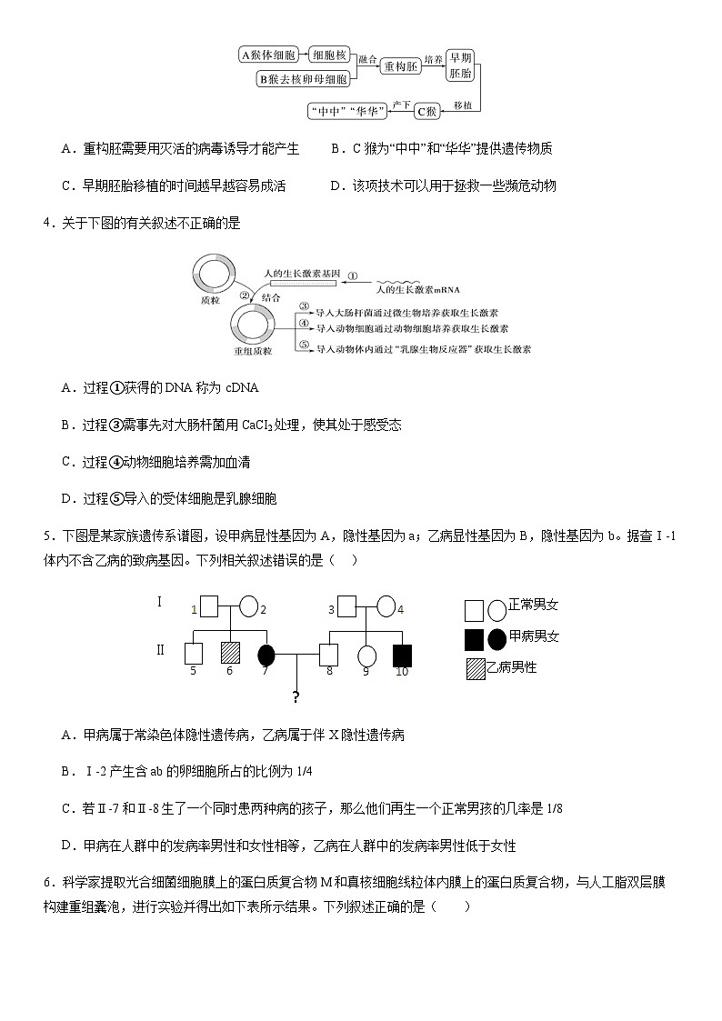 东北育才学校科学高中部2023-2024学年度高考适应性测试（一）生物试题第2页