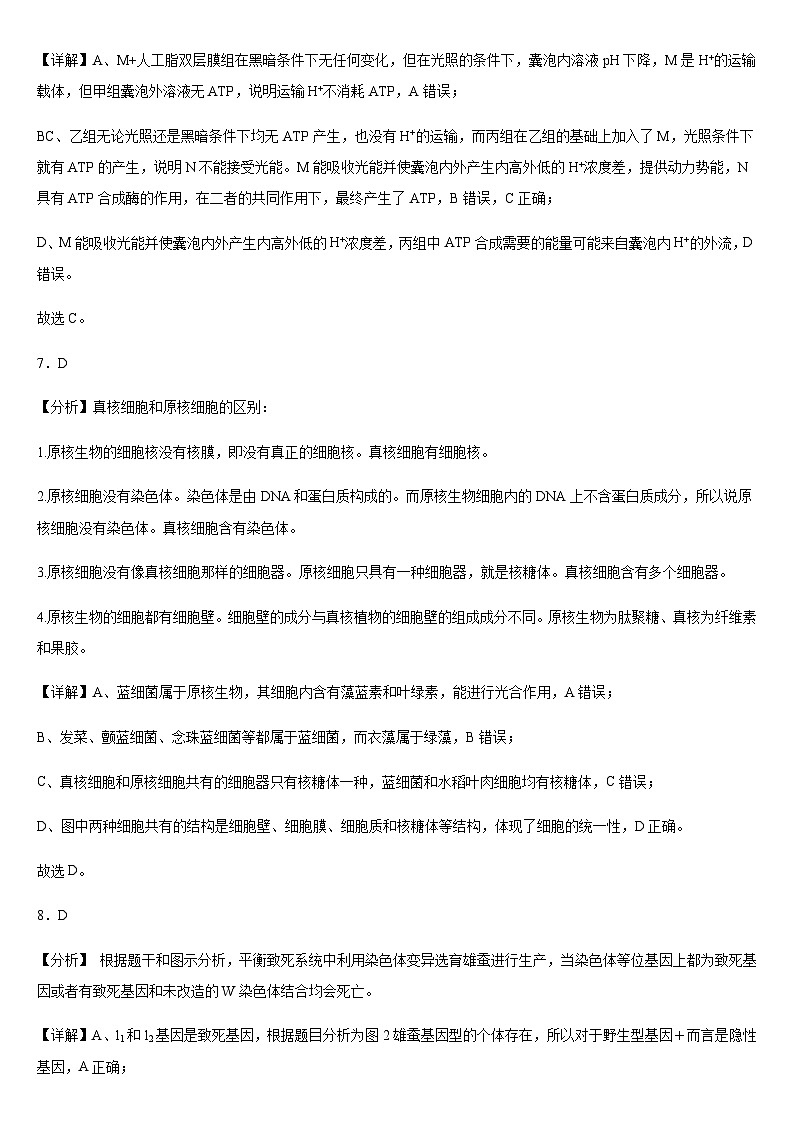 东北育才学校科学高中部2023-2024学年度高考适应性测试（一）生物参考答案第3页