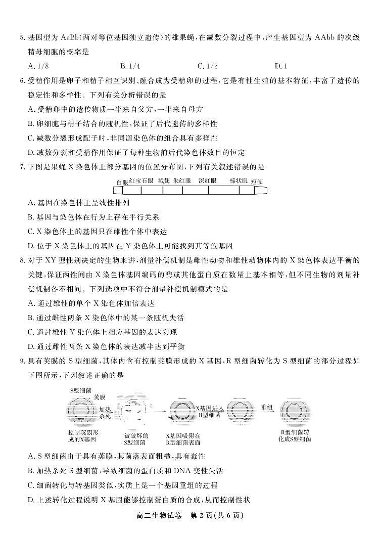2024安徽省皖江名校高二上学期开学联考试题生物PDF版含解析02