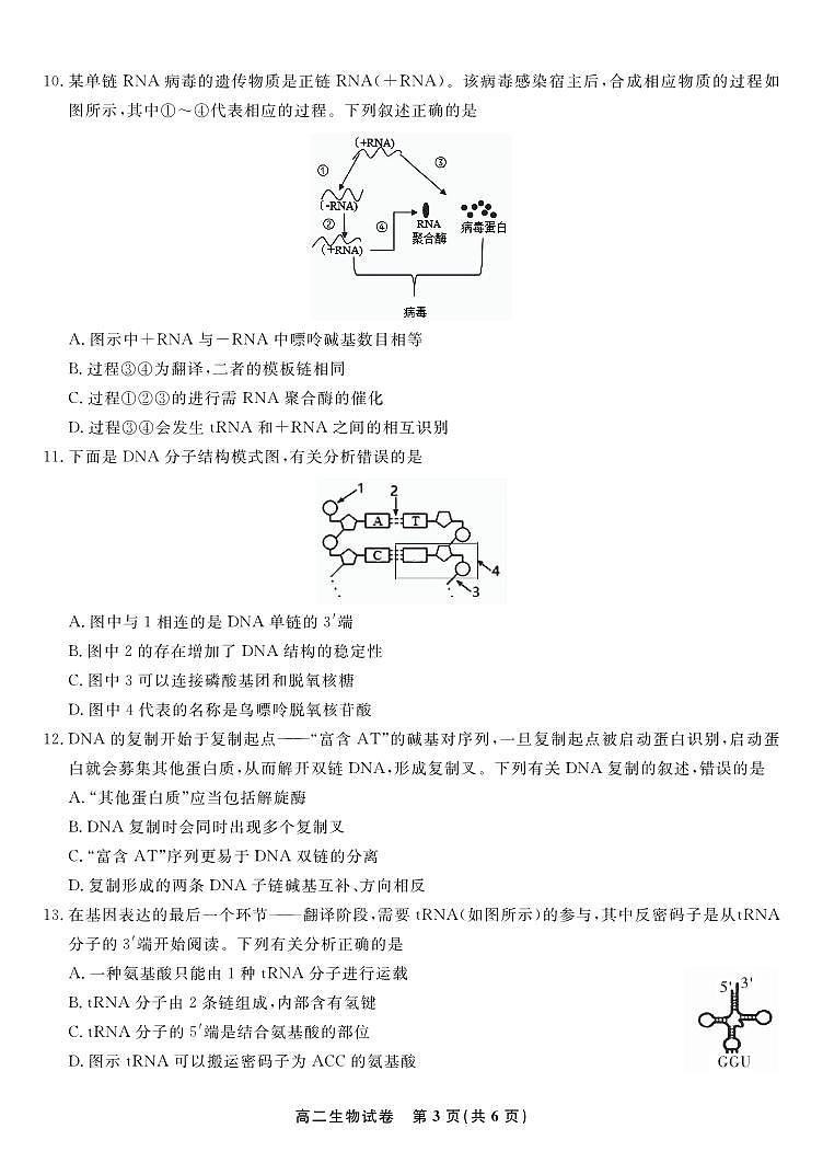 2024安徽省皖江名校高二上学期开学联考试题生物PDF版含解析03